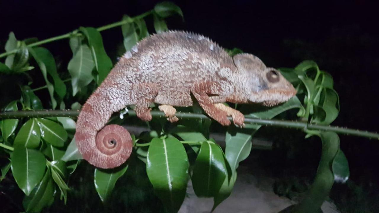 Sanjeela-Plage Coco Antsiranana Dış mekan fotoğraf